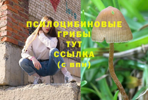 стафф Абинск