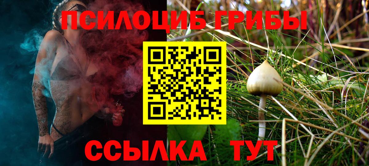 Псилоцибиновые грибы мухоморы Красноперекопск